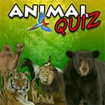 Animal Quiz