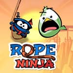 Rope Ninja